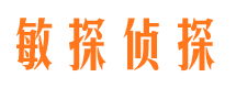 新城市侦探公司